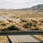 California’s First Wildlife Crossing Sees Success as Mule Deer Lead the Way